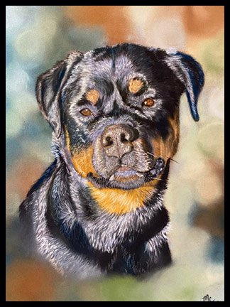 Pastel painting of a "Rottie"