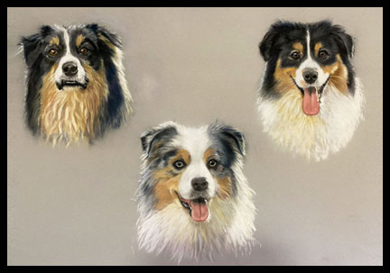 Pastel collage of three dogs