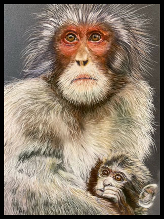 Mother and baby primates in pastels