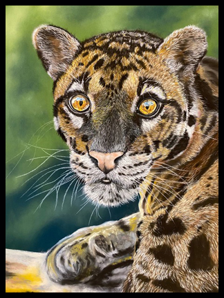 Pastel painting of Clouded Leopard